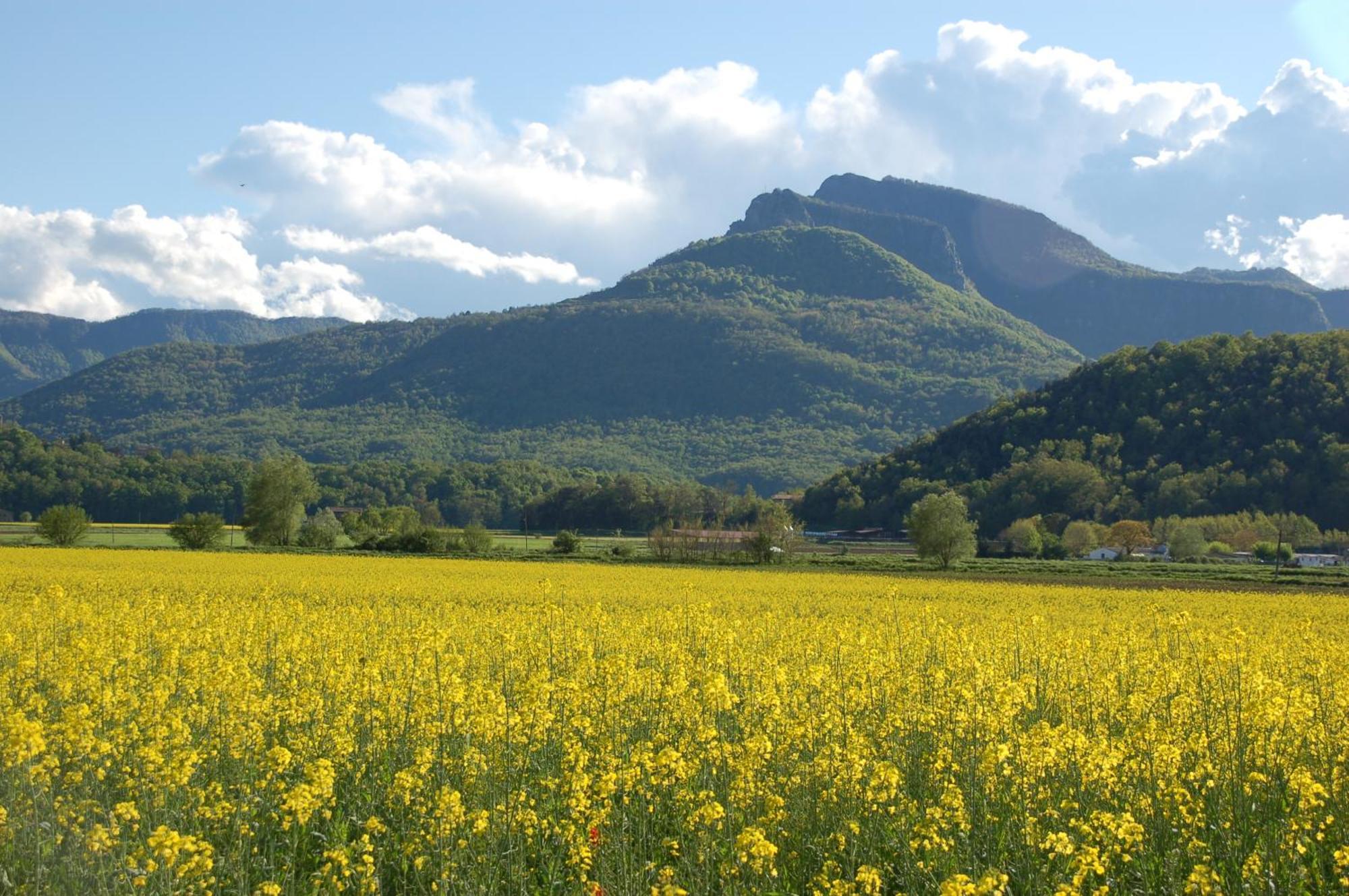 Casa Rural Mas Garganta La Pinya ภายนอก รูปภาพ