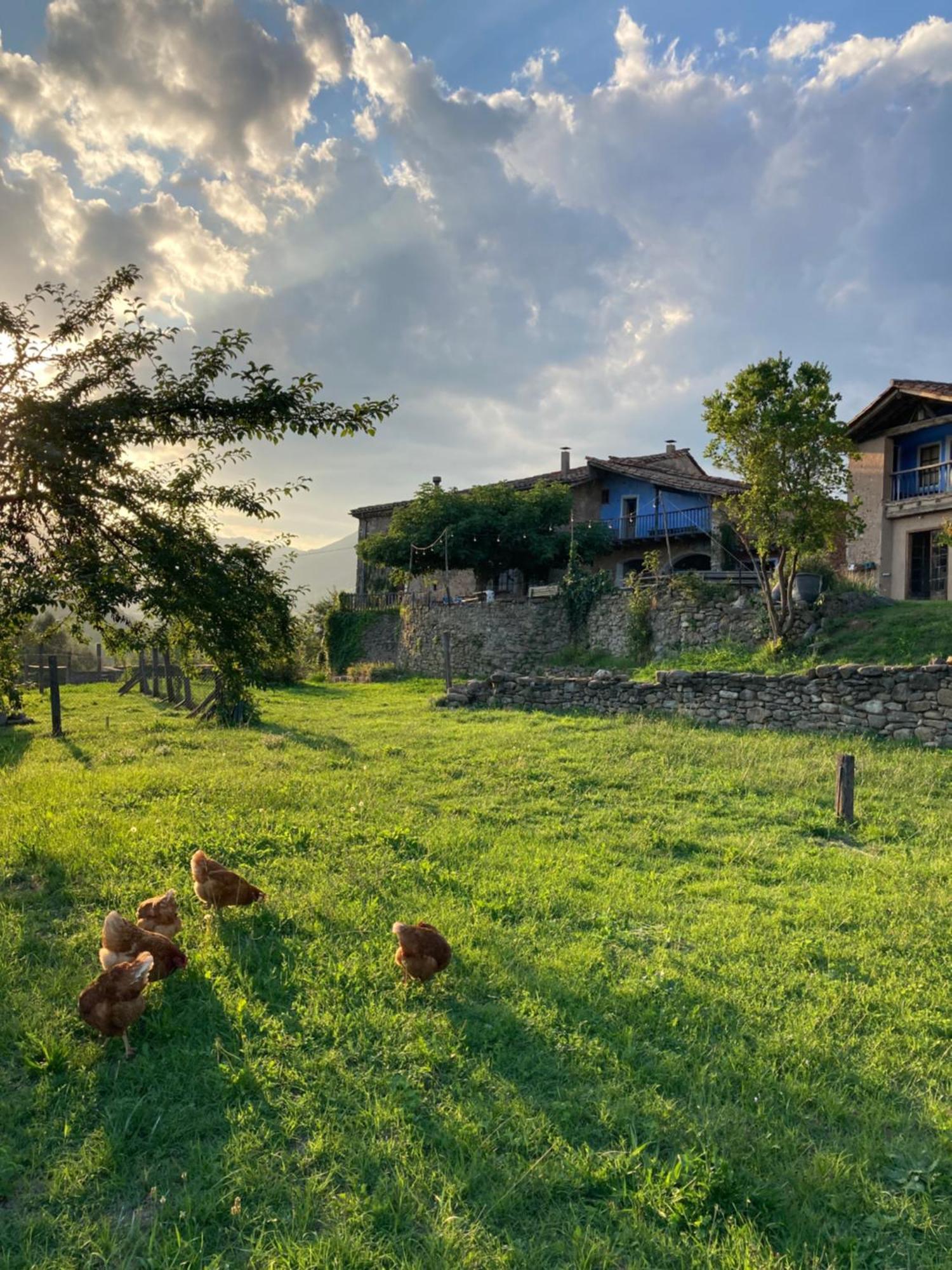 Casa Rural Mas Garganta La Pinya ภายนอก รูปภาพ