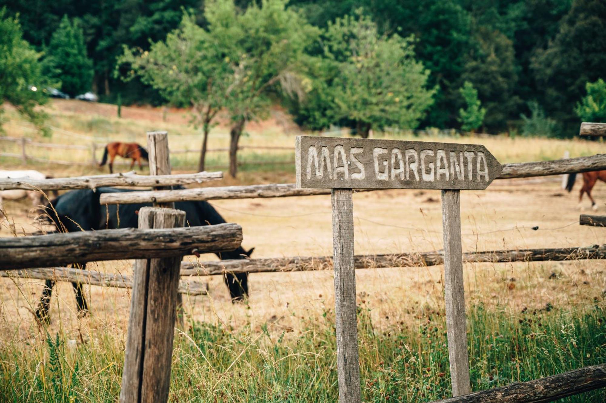 Casa Rural Mas Garganta La Pinya ภายนอก รูปภาพ