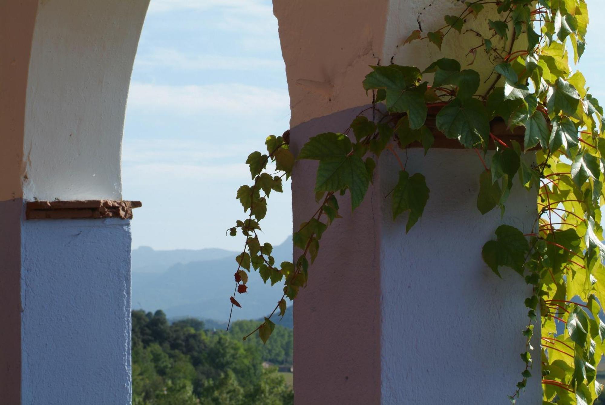 Casa Rural Mas Garganta La Pinya ภายนอก รูปภาพ